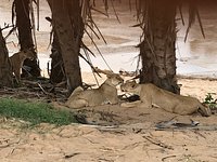 Foto recensione Stefano M.